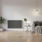 Reina Casina anthracite horizontal panel radiator mounted on a white wall in a stylish Scandinavian-inspired designer living room