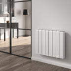 Reina Aron Horizontal Aluminium Radiator
